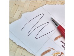 Bomboniera Laurea Ingegneria Meccanica Penna Rossa con ingranaggi particolare del tratto nero della scrittura