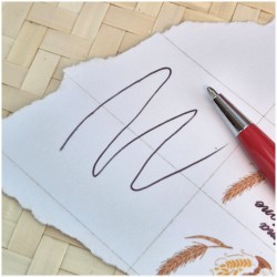 Bomboniera Laurea Ingegneria Meccanica Penna Rossa con ingranaggi particolare del tratto nero della scrittura