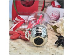 Bomboniera Laurea Lampada Led Idea Brillante con Corona d'Alloro