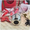 Bomboniera Laurea Lampada Led Idea Brillante con Corona d'Alloro