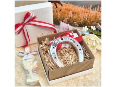 Bomboniera Laurea Portafortuna Ferro di Cavallo e Coccinella