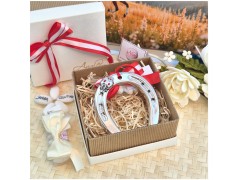 Bomboniera Laurea Portafortuna Ferro di Cavallo e Coccinella