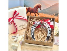 Bomboniera Laurea Portafortuna Ferro di Cavallo e Coccinella