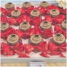 Bomboniera Laurea originale