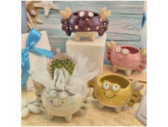 Bomboniera Tema Mare Vasetto Granchio Colorato Porta Pianta assortiti