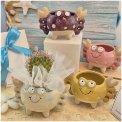 Bomboniera Tema Mare Vasetto Granchio Colorato Porta Pianta assortiti