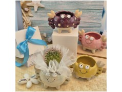 Bomboniera Tema Mare Vasetto Granchio Colorato Porta Pianta assortiti