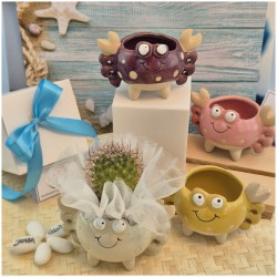 Bomboniera Tema Mare Vasetto Granchio Colorato Porta Pianta assortiti