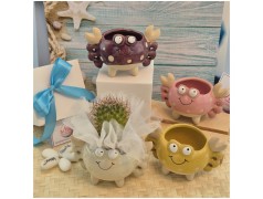 Bomboniera Tema Mare Vasetto Granchio Colorato Porta Pianta assortiti