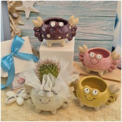 Bomboniera Tema Mare Vasetto Granchio Colorato Porta Pianta assortiti