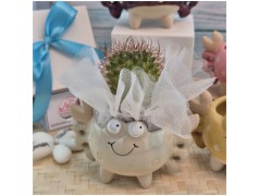 Bomboniera Tema Mare Vasetto Granchio Colorato Porta Pianta assortiti