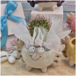 Bomboniera Tema Mare Vasetto Granchio Colorato Porta Pianta assortiti