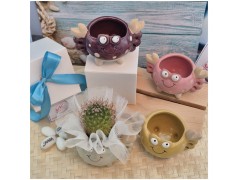 Bomboniera Tema Mare Vasetto Granchio Colorato Porta Pianta assortiti