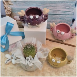 Bomboniera Tema Mare Vasetto Granchio Colorato Porta Pianta assortiti