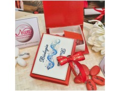 Bomboniera Laurea Biologia Scatolina Libro con DNA