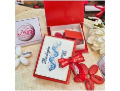 Bomboniera Laurea Biologia Scatolina Libro con DNA