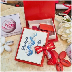 Bomboniera Laurea Biologia Scatolina Libro con DNA