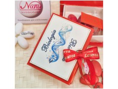 Bomboniera Laurea Biologia Scatolina Libro con DNA