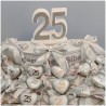 Torta Bomboniera Nozze d'Argento 25° Anniversario Cuore Scintillante con Nomi Personalizzati