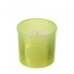 Bomboniera Hervit Candela Profumata in Vetro Verde con Polvere d'Oro Linea Essence