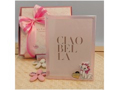 Bomboniera Battesimo Bimba Portafoto Minou Aristogatti in Plexiglass con Nome Personalizzato