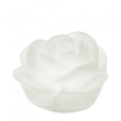 Bomboniera Hervit Lampada Led a Rosa in vetro satinato Bianca