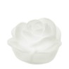 Bomboniera Hervit Lampada Led a Rosa in vetro satinato Bianca