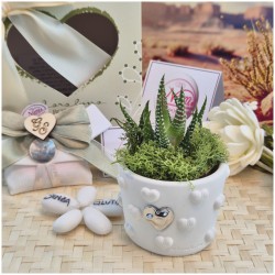 Bomboniere Piantine Grasse