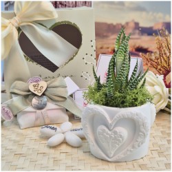 Bomboniere Vasetto Grande con Piantina Grassa