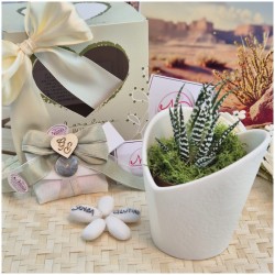 Vasetto grande Piantina Claraluna