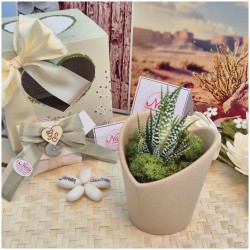 Piantine Grasse Claraluna