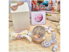 Bomboniera Lampada Sfera in Cristallo 3D con Trilly e Base Led USB