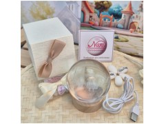 Bomboniera Lampada Sfera in Cristallo 3D con Piccolo principe e la volpe su Base Led USB