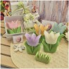 Bomboniera Matrimonio e Comunione Set Spring Box con Candela Tulipano Media e Sacchetto