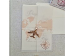 Partecipazione Particolare tema viaggio