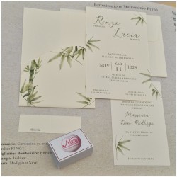 Partecipazione verde salvia