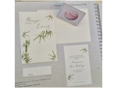 Partecipazione verde salvia