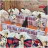Torta Bomboniera Comunione Bimba Volley Passion con Statuina Giocatrice e Campo con Rete