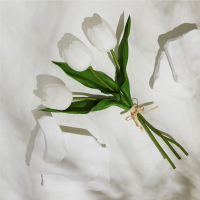 Tulipani Claraluna