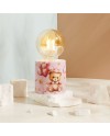 Bomboniera Battesimo e 1° Compleanno Claraluna 2027 Lampada Led Bimba Orsetta con Palloncini