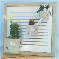 Bomboniera per testimoni Giardino verticale