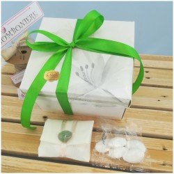 claraluna bomboniere scatola con nastri verdi sacchettino e confetti perticolari della confezione