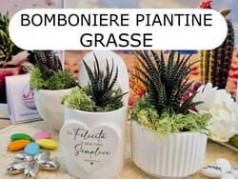 Bomboniere Piante Grasse